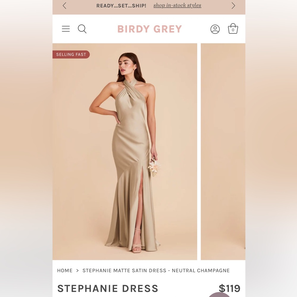 Birdy Grey Stephanie Dress, neutral champagne, satin material